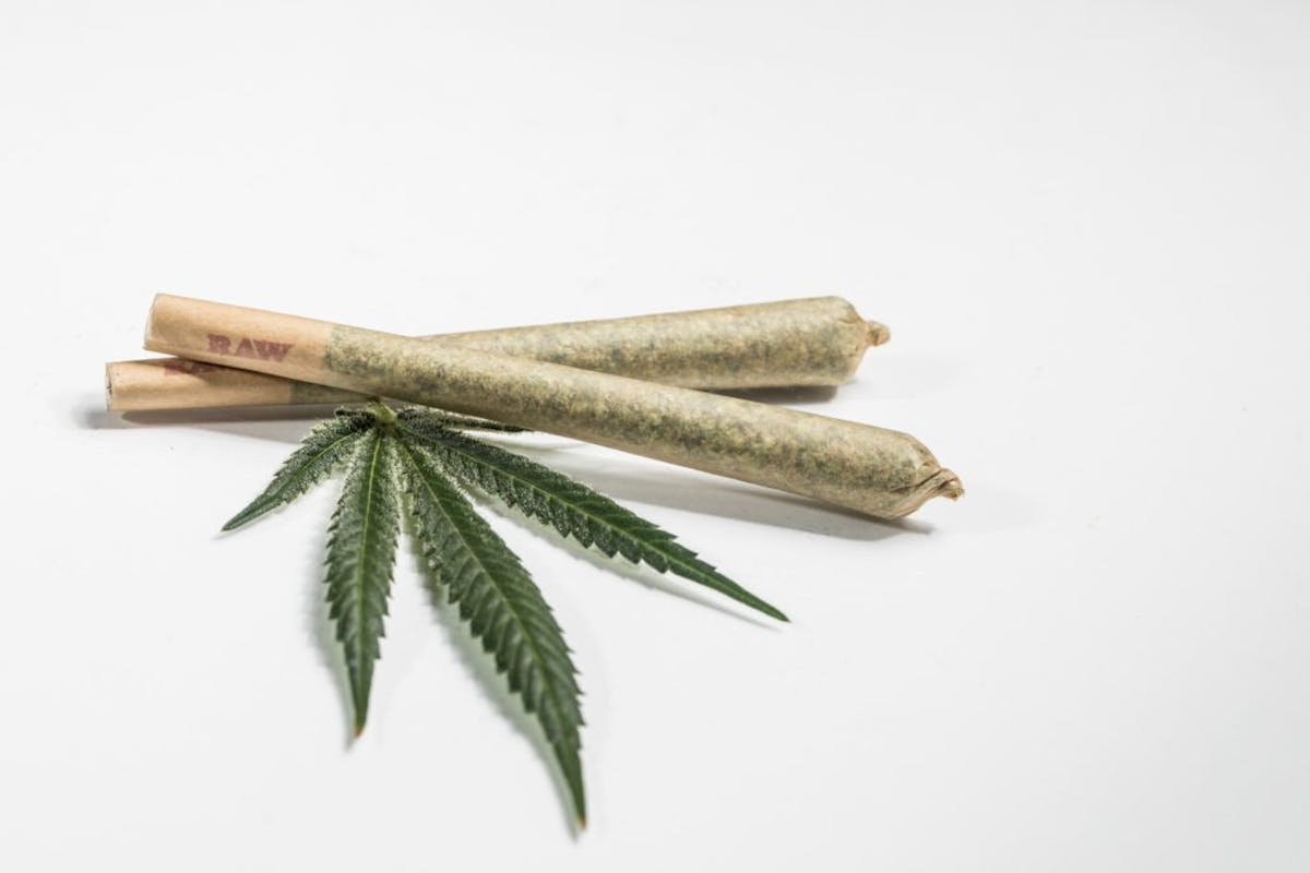 Image of XJ-13 | 1g