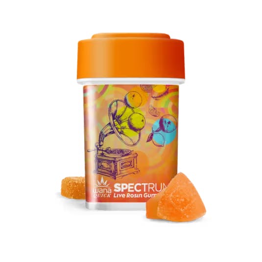 Citrus Sorbet I Live Rosin Gummies | 20 Pack