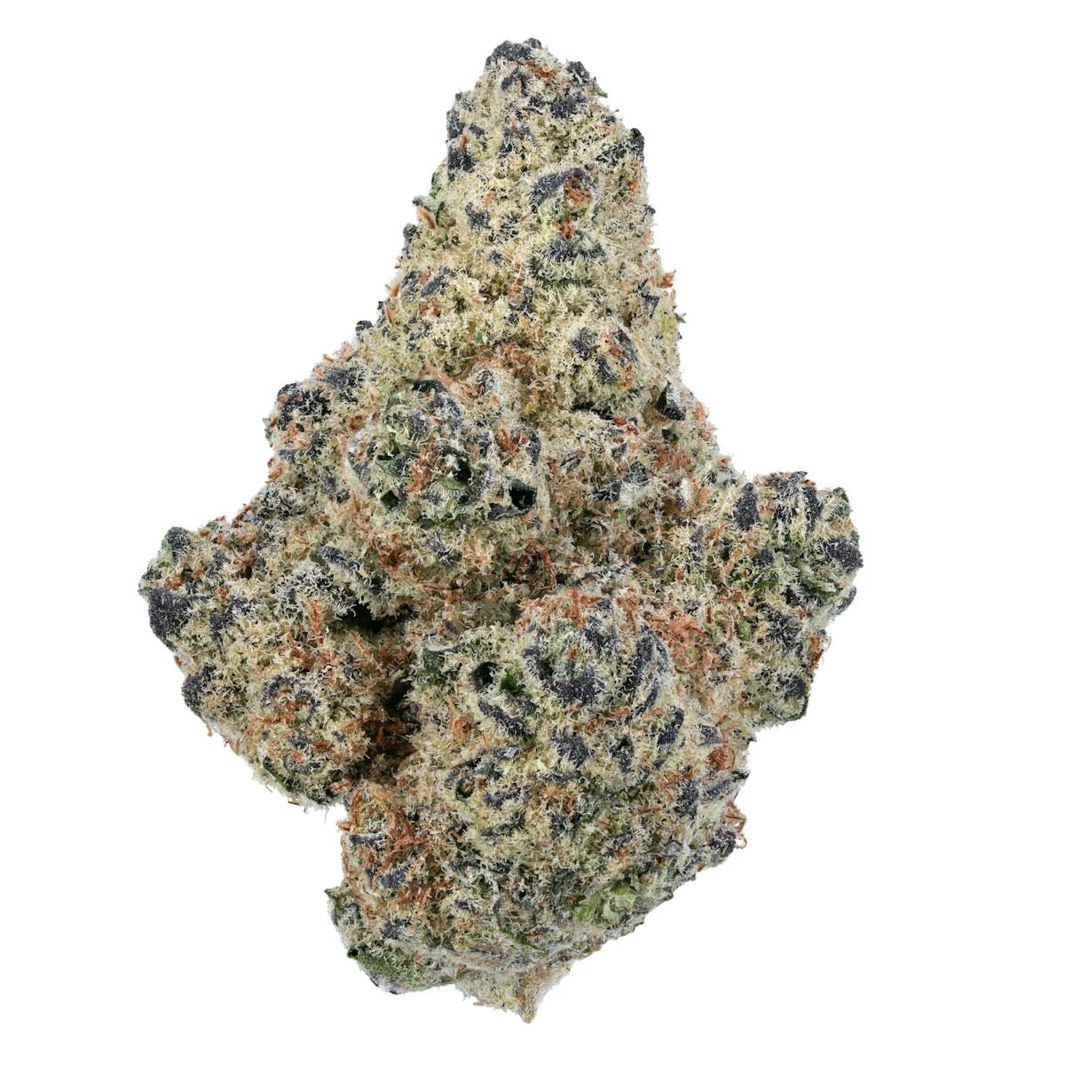 Photo of Platinum Reserve | Northern Lights #5 x Haze 3.5g