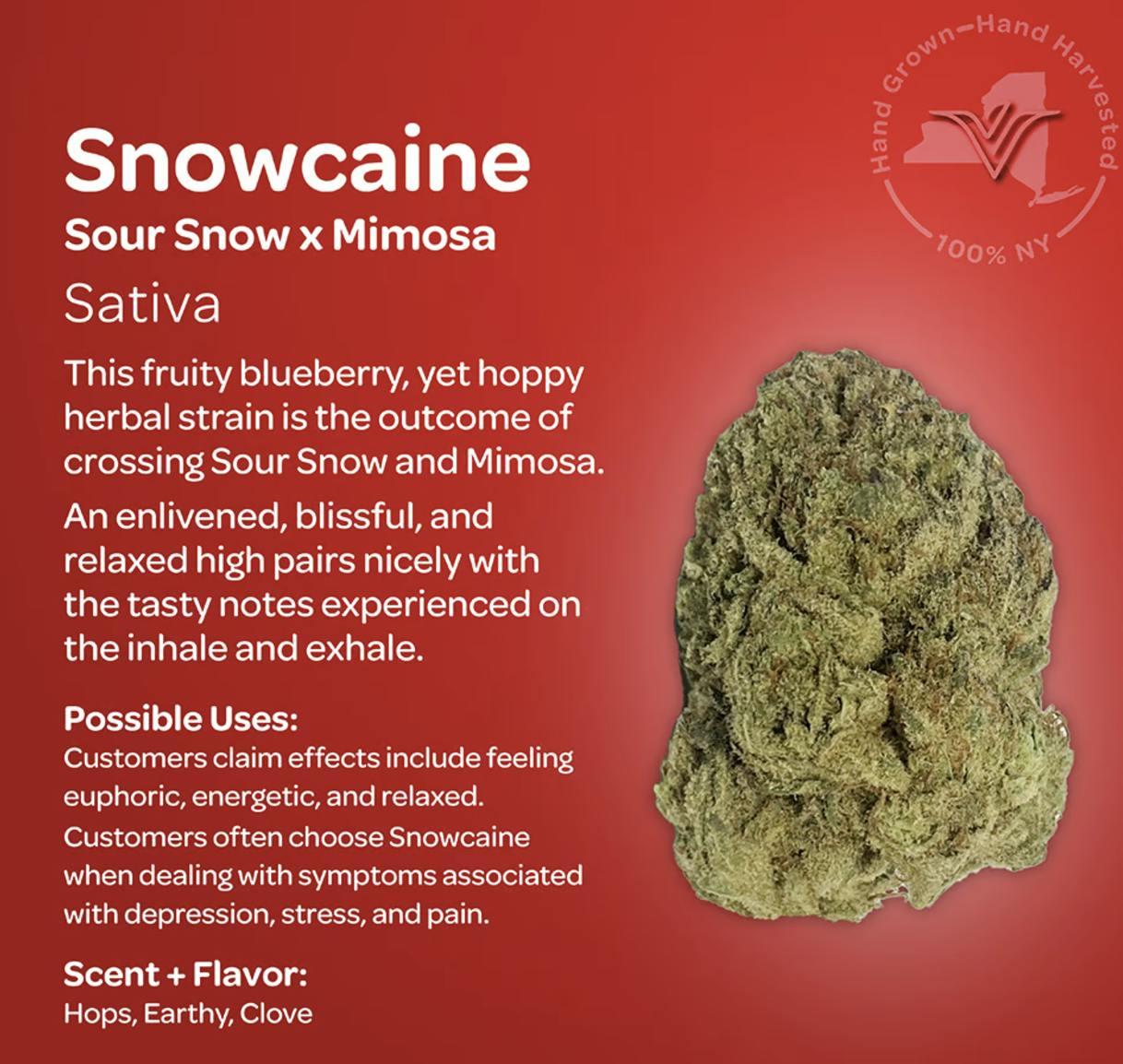 Vireo Indoor Sativa Flower 3.5g- Snowcaine-2