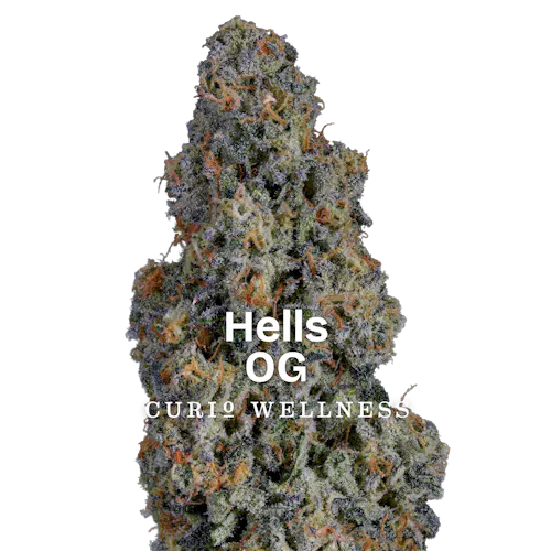 Hells OG 3.5g – Curio (Pre-Pack)-1