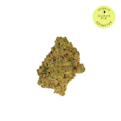 Hudson Cannabis | Guava Pie | Flower (dime bag) | Hybrid-active