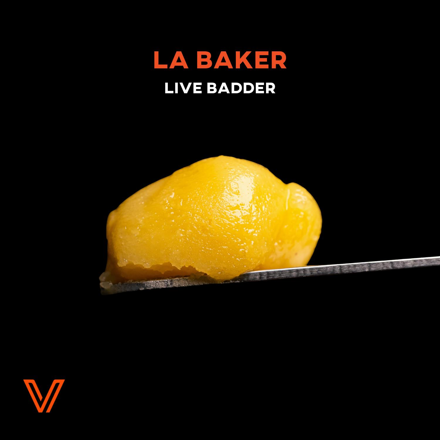 Vivid LA Baker