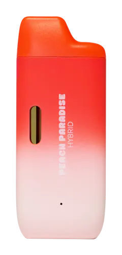 Peach Paradise | Disposable Pen | 2g-1