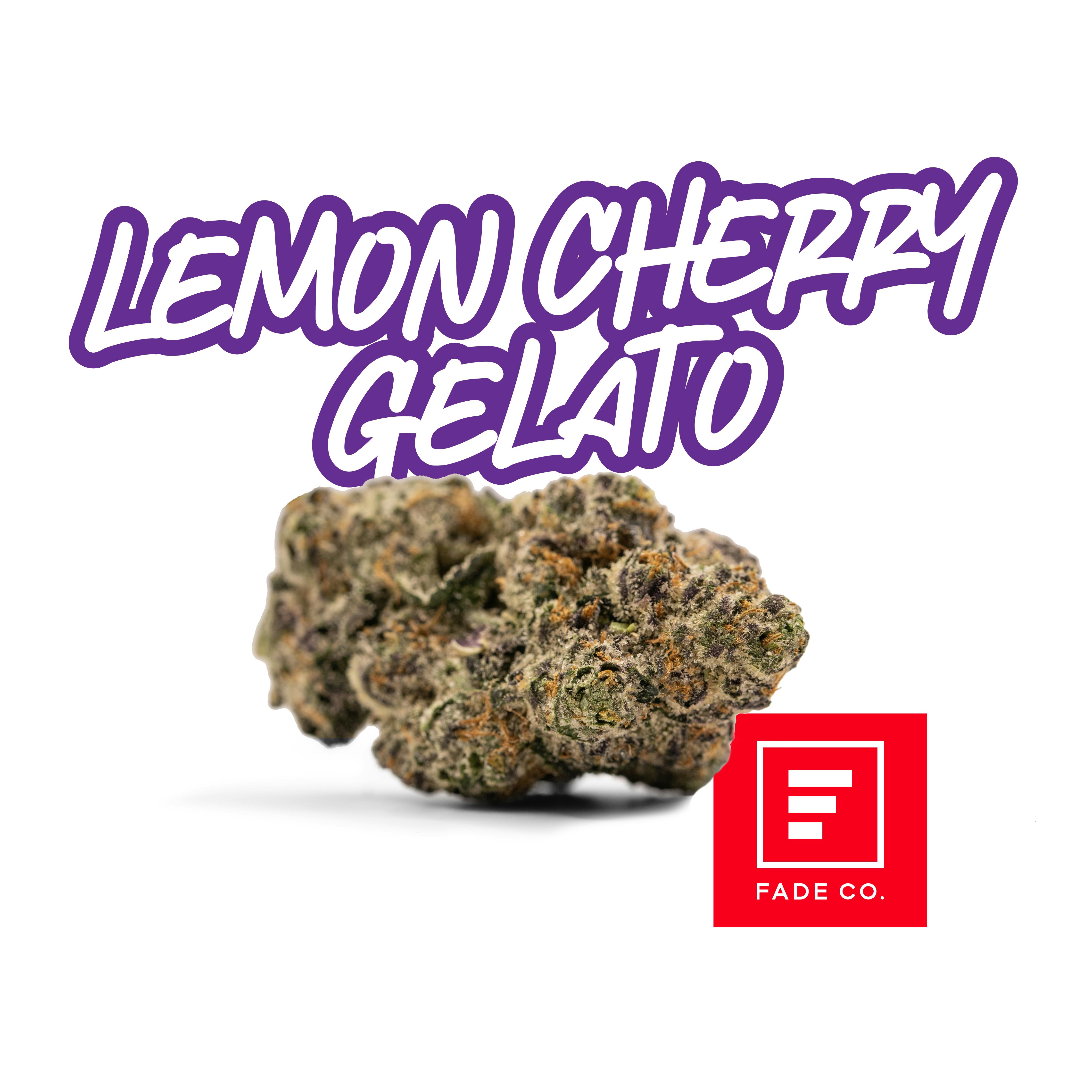 Lemon Cherry Gelato A | 3.5g | Jungle Boys Midtown Phoenix
