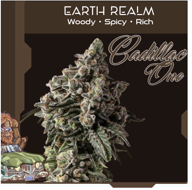 Cadillac One I Earth - Image 3