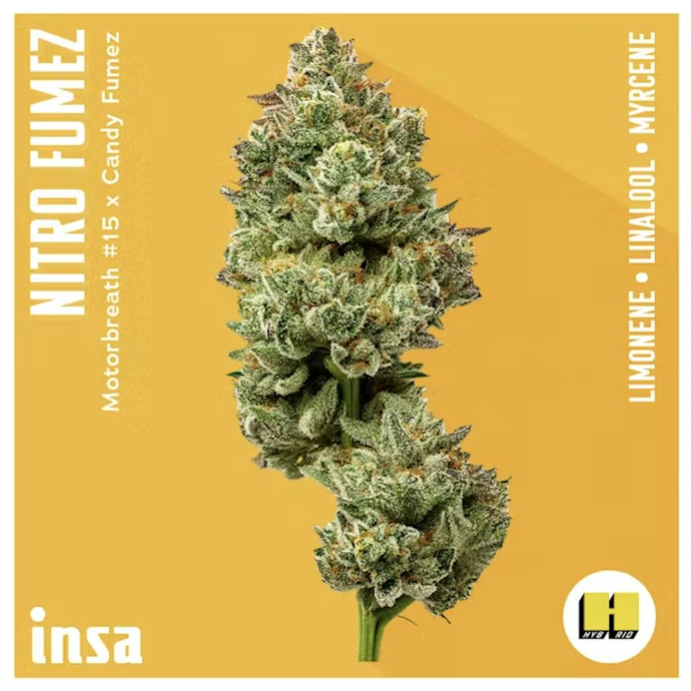 Product Nitro Fumez - Flower