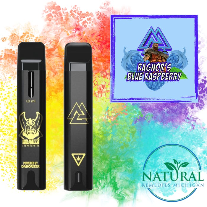 Valhalla Ragnor's Blue Raspberry 1g Disposable | Outpost (Crystal Falls)