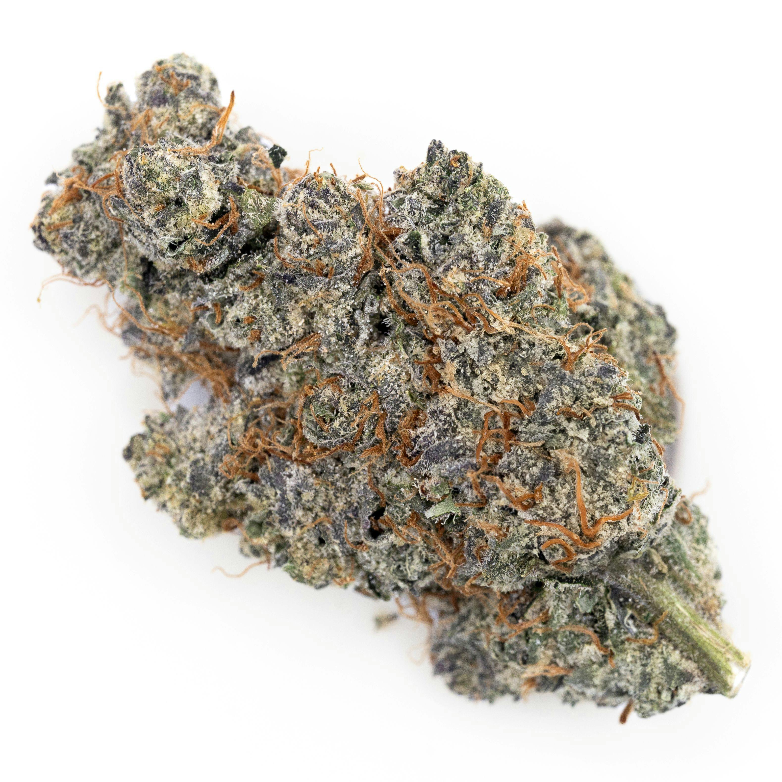 Strawberry Gary Payton | Genesis Farms - Mitchell