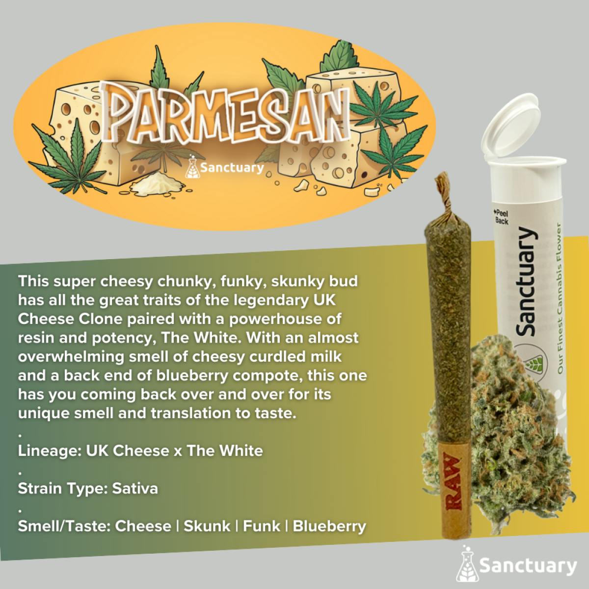 Sanctuary - Pre-Roll - Parmesan