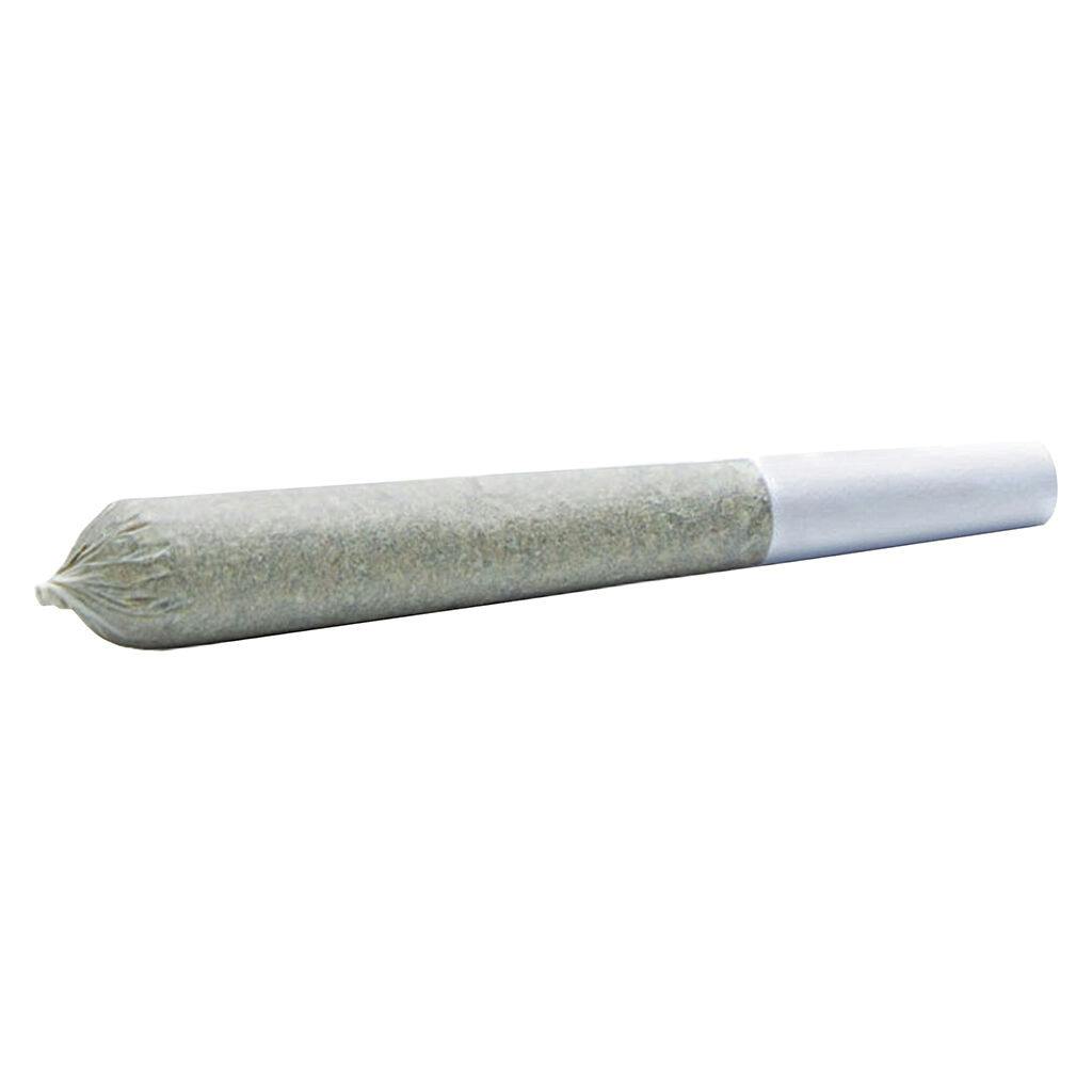 Infused Pre-Roll | Wildlife Cannabis - Blackberry G+ Infused - Indica - 5x0.3g