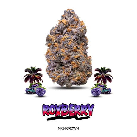 DELI - Michigrown - Roxbury - product image at King of Budz