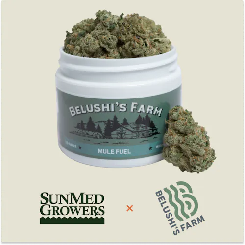 Belushis Farm Mule Fuel Flower 3.5g-1