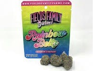 RAINBOW BELTZ (SMALLS)
