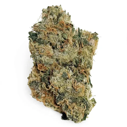 Voyage Bloom Candied Yams Prepack Rec-active