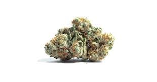 Photo of Popcorn Shelf – Big Bunz (I)