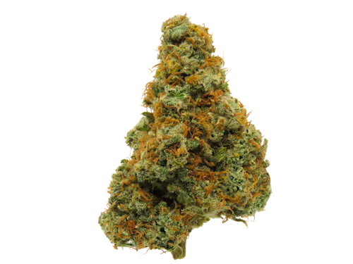 Caramel Apple Gelato-active
