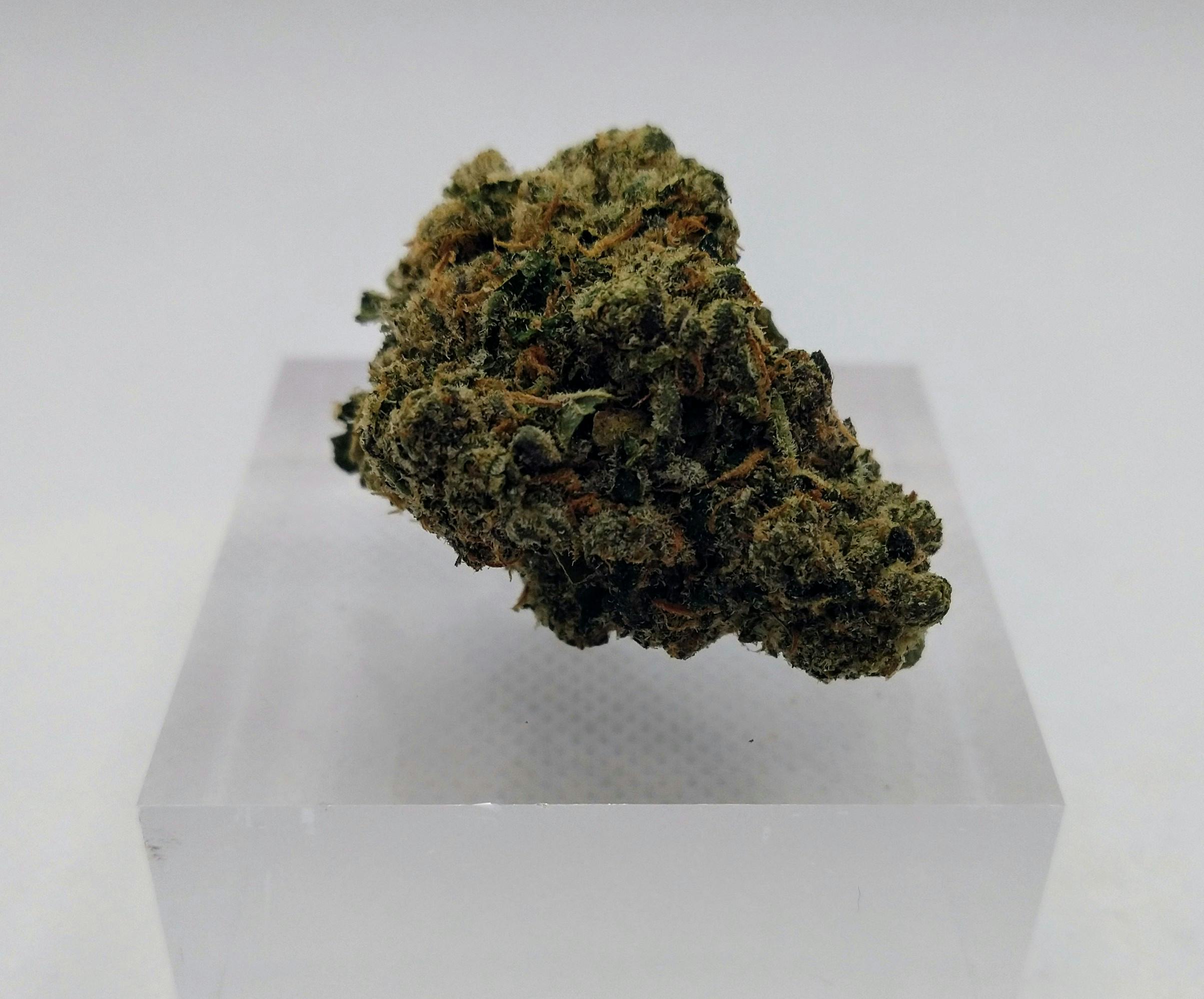 Product: Goldkine | Designer Runtz | Hybrid | Bulk Flower | Platinum