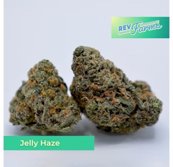 Jelly Haze (H) - 3.5g Flower - Rev Farms