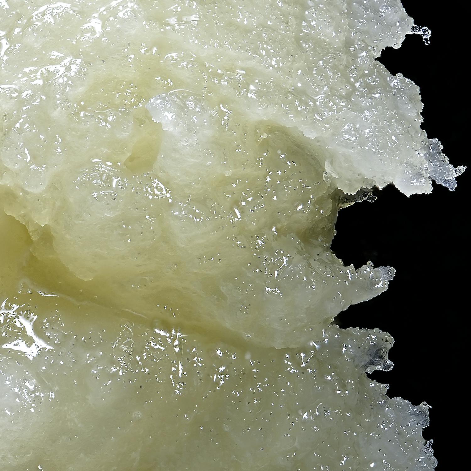 Wojo - 1g Live Rosin - Luchini