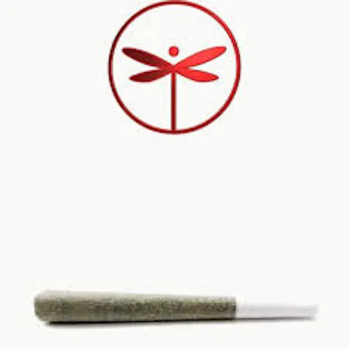 Gelato Sunrise Pre-Roll | 1g-1
