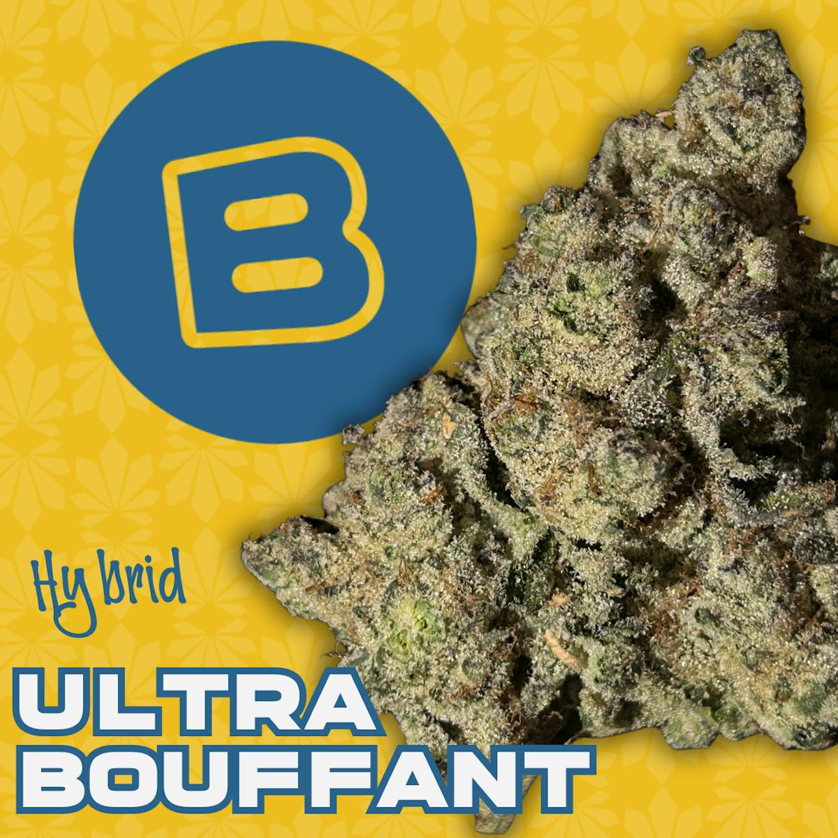 Photo of Ultra Bouffant Small Buds