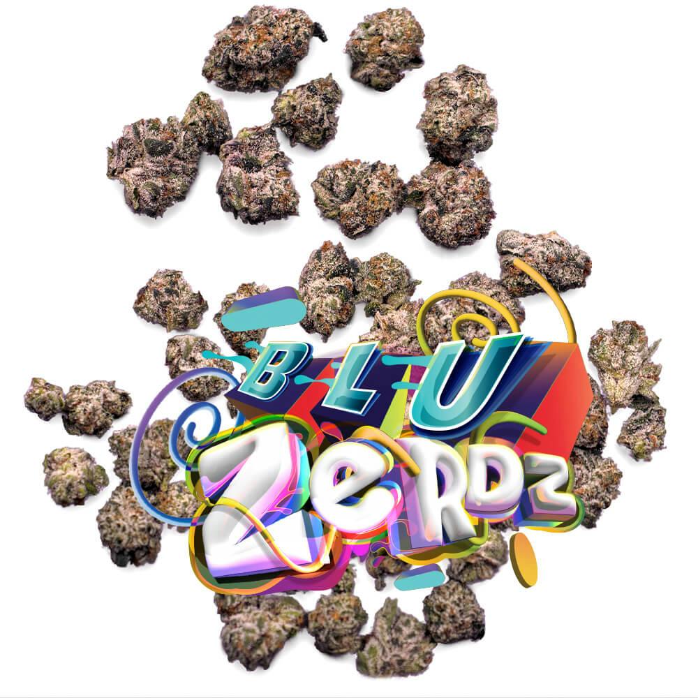 Shop Blu Zerdz - Pops in Palm Harbor | Jungle Boys