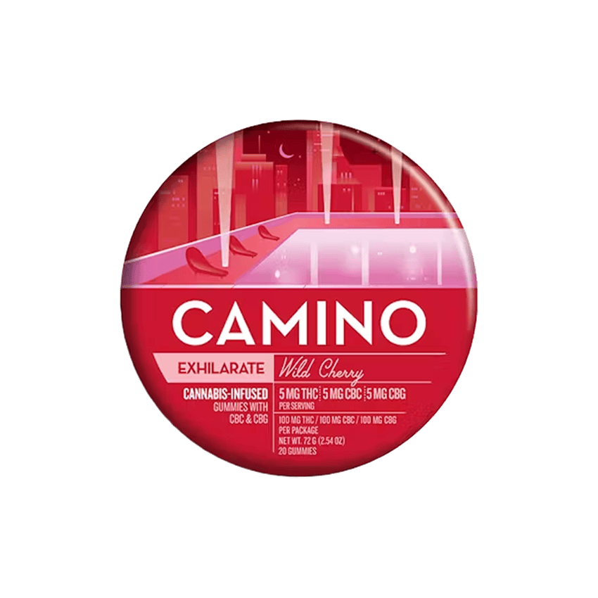 EL-CAMINO climbgrow 邦楽 CD
