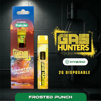 Gas Hunters - 2g Disposable - Frosted Punch