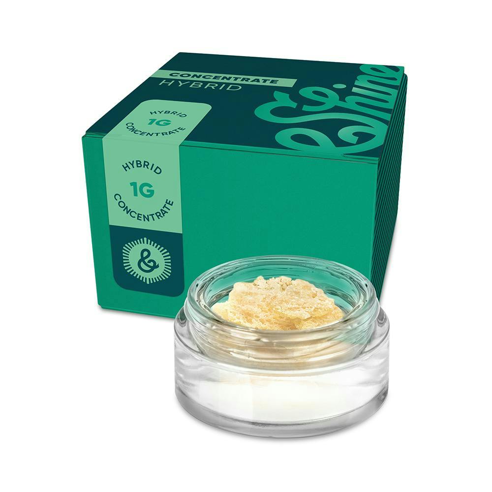 &Shine - 1g Cured Resin - Gogurtz