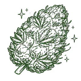 Flower category image