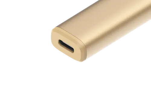 PAX ERA GO | Battery | Gold-2