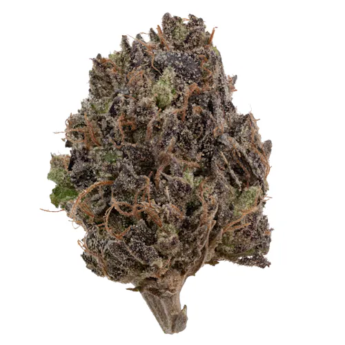 Canna Cure Farms Blue Zushi Flower 3.5g-1