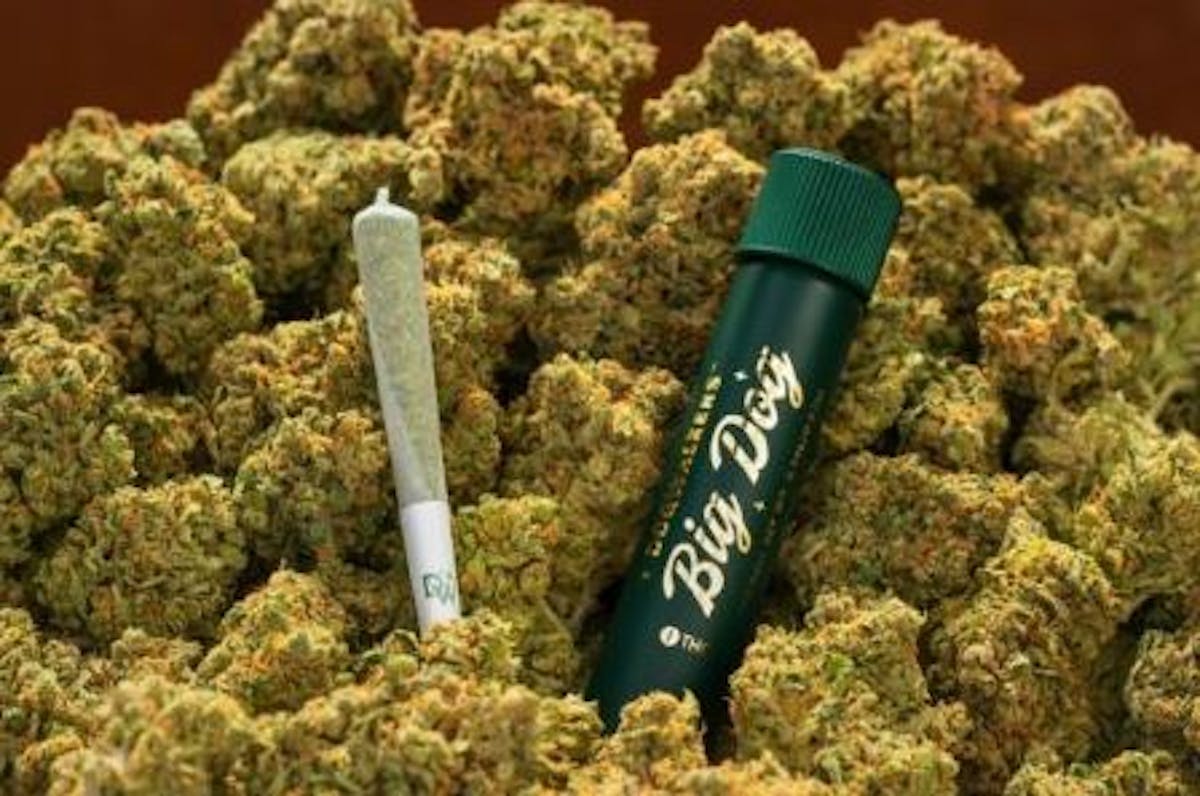 Image of Daywrecker | .75g Preroll