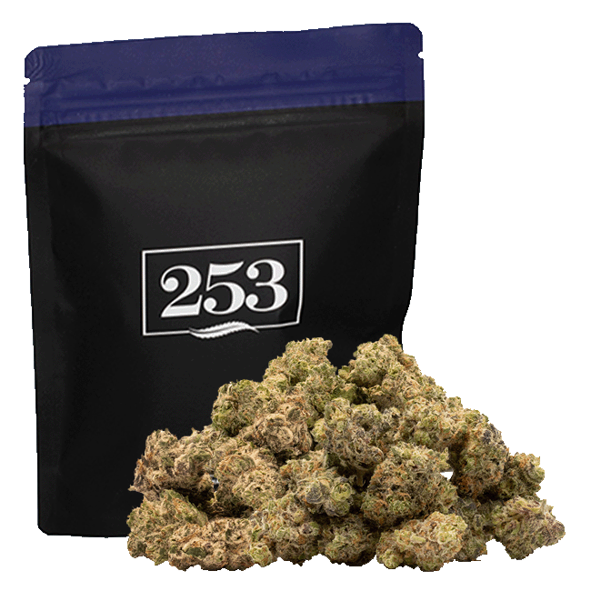 Product Governmint Oasis (I) | Flower | 28g