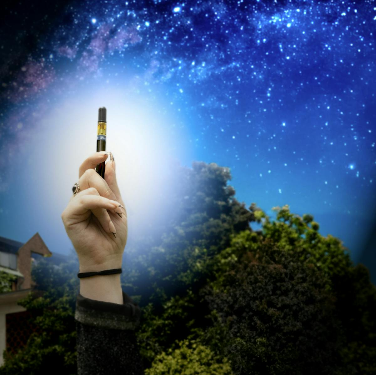 Photo of Fernway Space Queen Cartridge