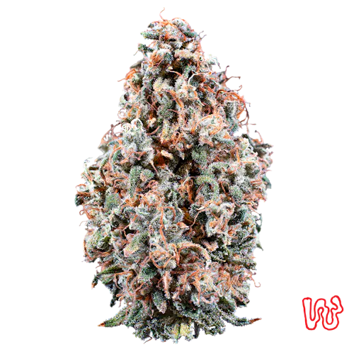 Woodward | Cherry Jungle (Buds) 14.15g | Hybrid-2