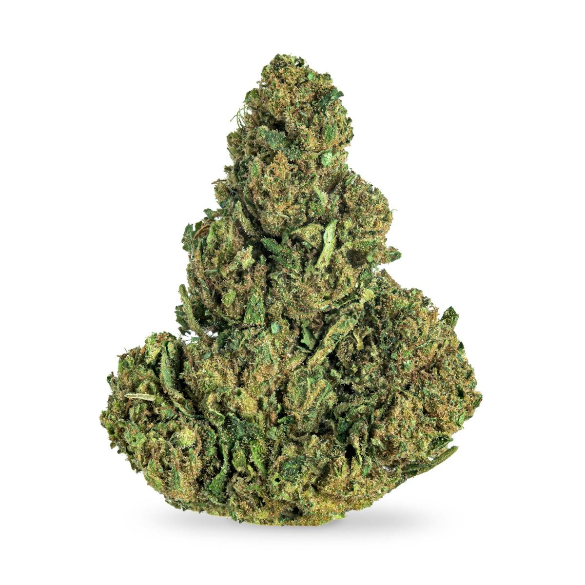 Photo of Permanent Marker ($35 Special, No Discounts)