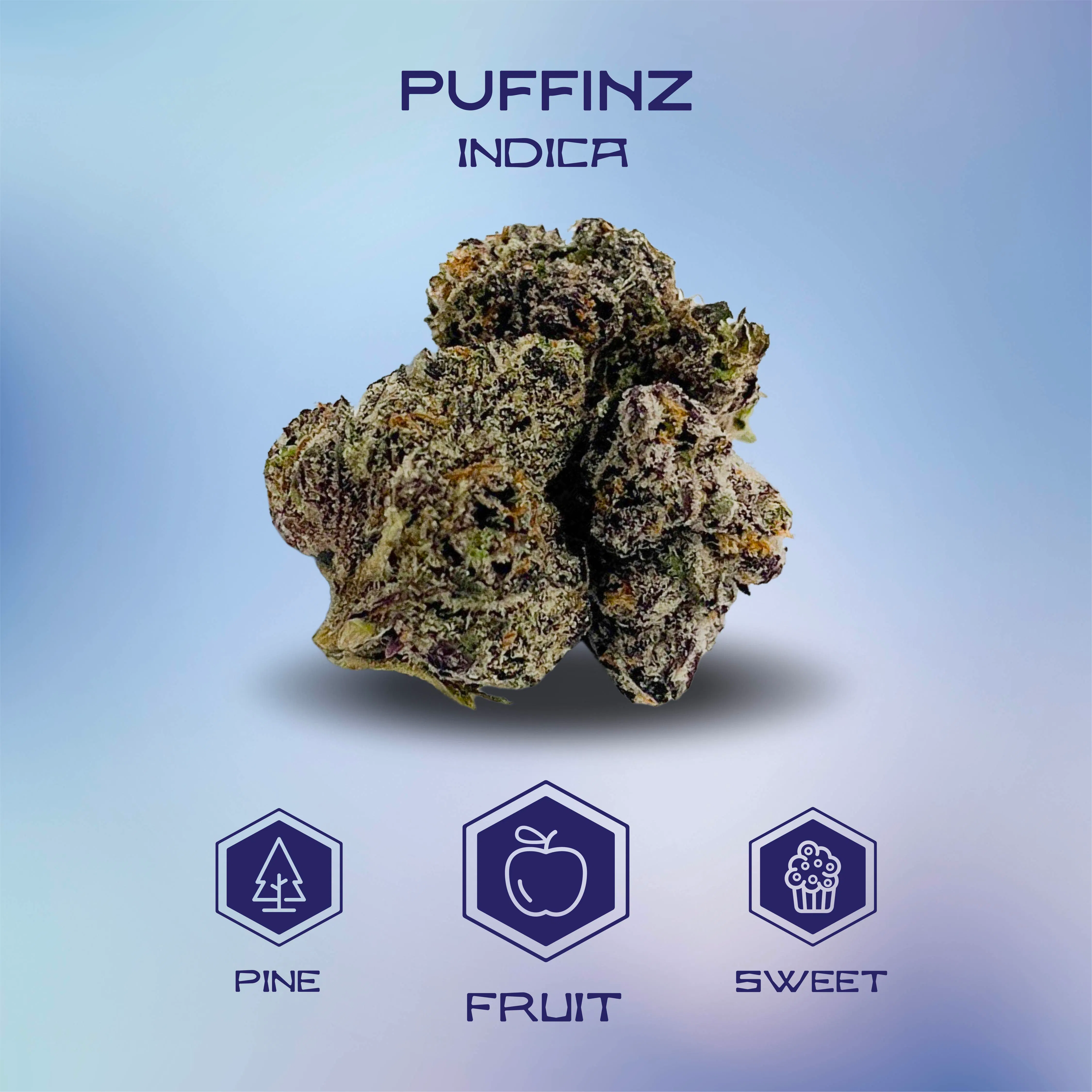 Flower | Island | Puffinz | Mission (South Chicago) MED