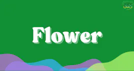 Flower category image