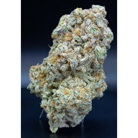 Bonsai Bonsai | Blue Frosting | I - Rocky Road Dispensary CO
