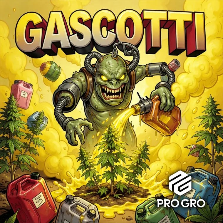 DELI - Pro Gro - Gascotti