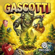 DELI - Pro Gro - Gascotti