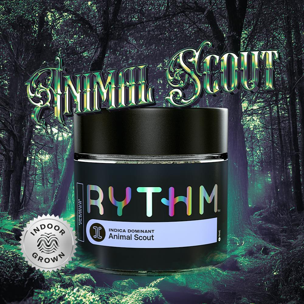 Rythm | Animal Scout | Flower (Popcorn) | 7g