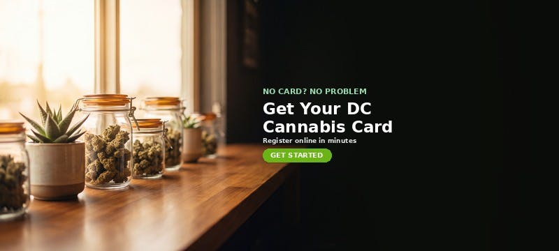 Get your DC medical cannabis card — register online in minutes with MrGreen DC, residents and visitors welcome