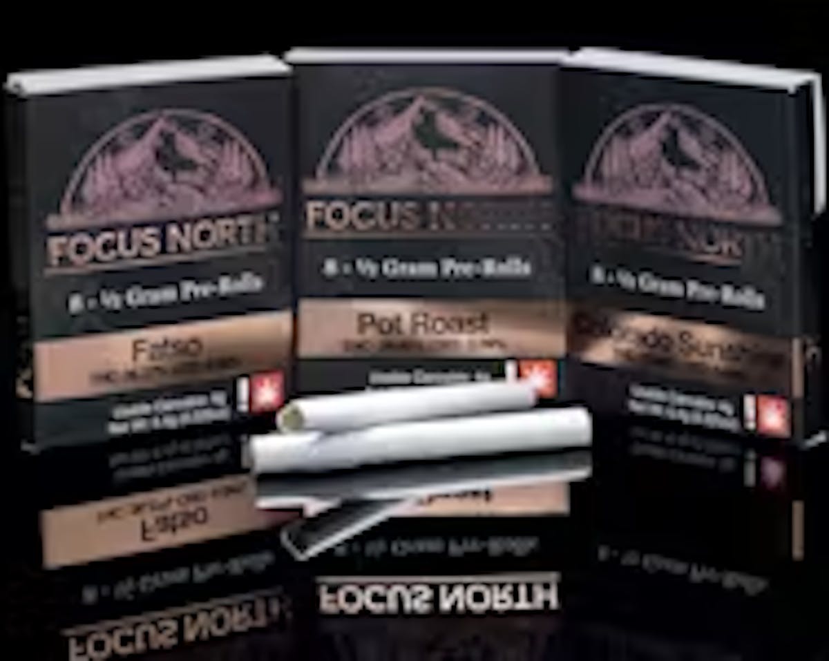 Photo of Terple Preroll 8 Pack (Focus North)