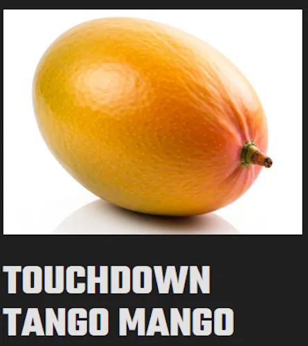 Infused Touchdown Tango Mango 1.2g Pre Roll-H-active