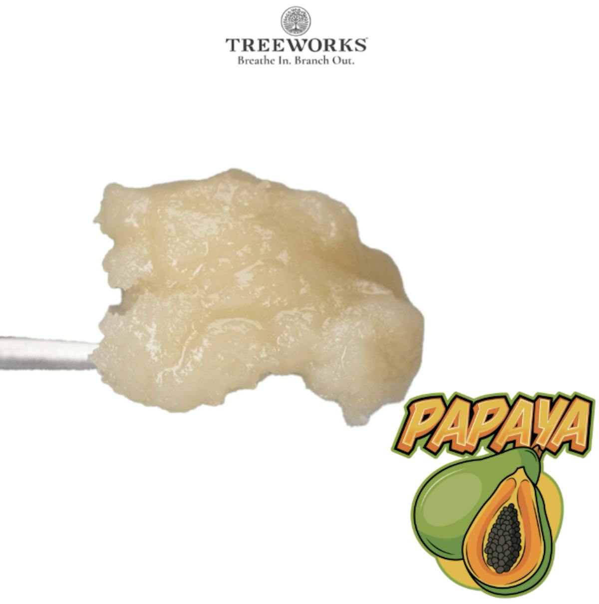 Photo of Treeworks Papaya 1g Live Rosin Jam