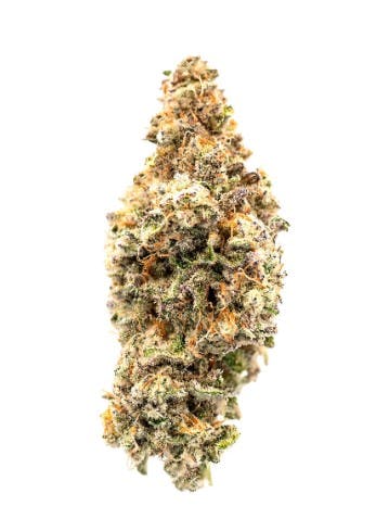 Flower | Miracle Valley - Crafty Cuts - Hybrid