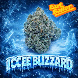 Icee Blizzard